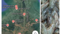 ASPIRASI MASYARAKAT TAMBAK UDANG LOSARI KABUPATEN CIREBON MEMINTA EVALUASI ULANG MANFAAT AIR WADUK DARMA KUNINGAN BUKANKAH KALI LOSARI YANG TERDEKAT?