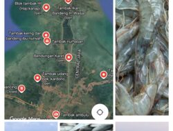 ASPIRASI MASYARAKAT TAMBAK UDANG LOSARI KABUPATEN CIREBON MEMINTA EVALUASI ULANG MANFAAT AIR WADUK DARMA KUNINGAN BUKANKAH KALI LOSARI YANG TERDEKAT?